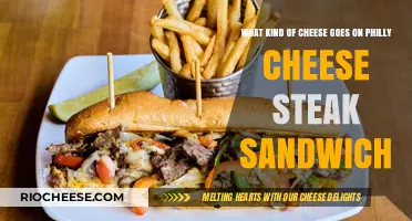 The Ultimate Guide to Perfect Philly Cheese Steak Sandwich Cheese