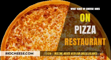 The Perfect Match: Which Cheese Elevates Your Pizza Restaurant?