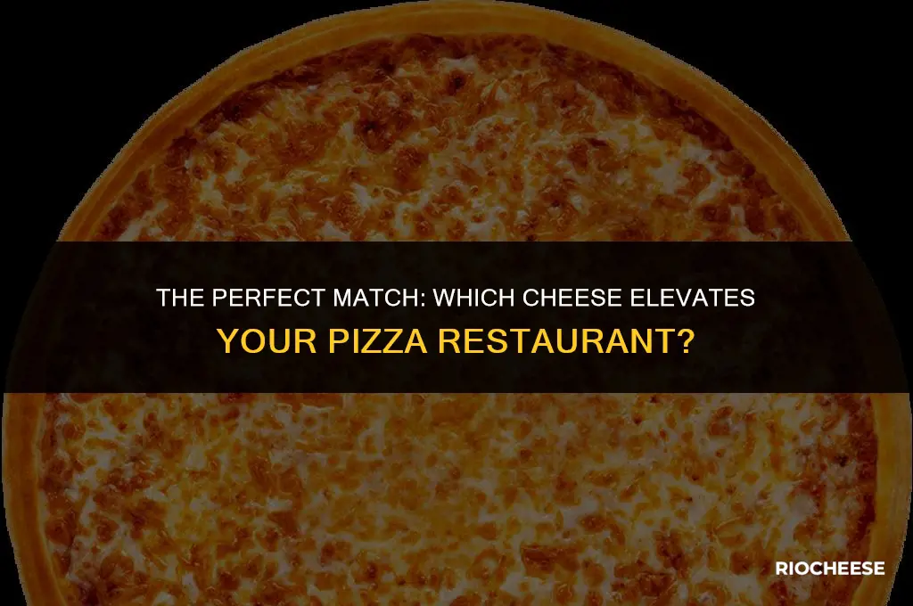 what kind of cheese goes on pizza restaurant