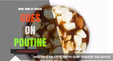 The Ultimate Guide to Choosing the Perfect Cheese for Poutine