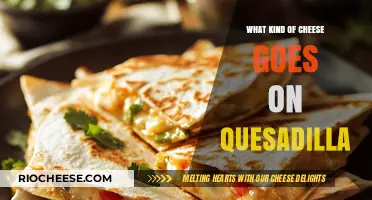 Quesadilla Cheese Guide: From Mild to Wild, We've Got You Covered!