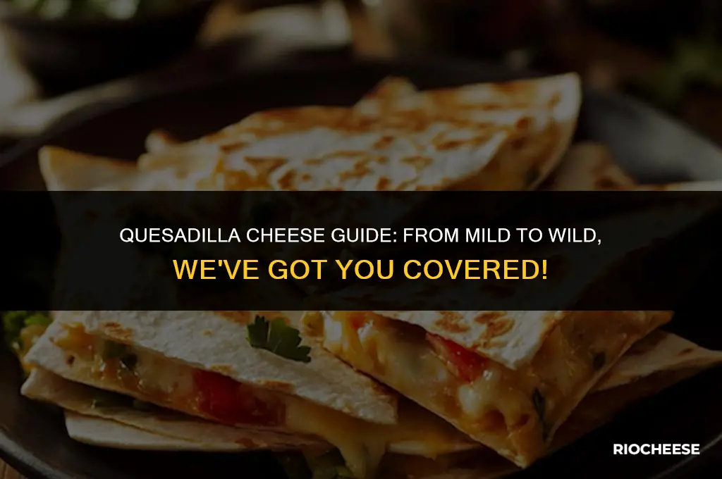 what kind of cheese goes on quesadilla