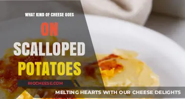 Scalloped Potatoes: A Guide to the Perfect Cheesy Topping