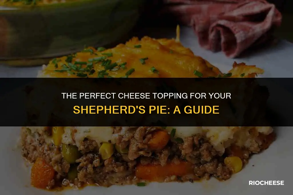 what kind of cheese goes on shepherd