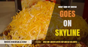 Skyline's Perfect Match: Discovering the Ideal Cheese Companion