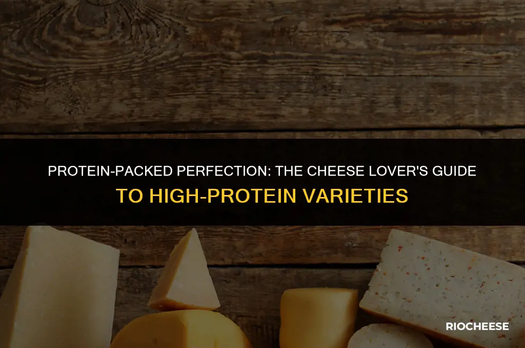 what kind of cheese has the most protein