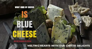 Exploring the Pungent World of Blue Cheese Varieties
