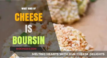 Exploring the Rich Flavor Profile of Boursin Cheese