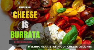 Exploring Burrata: The Creamy Italian Cheese You'll Love