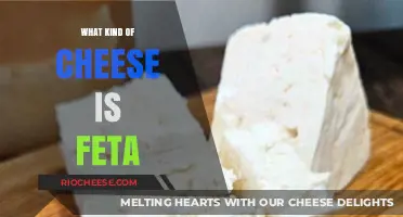 Exploring the Rich and Tangy World of Feta Cheese