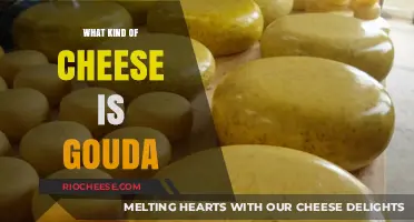 Exploring the Richness of Gouda: A Cheese Lover's Delight