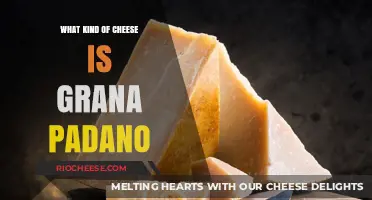 Exploring the Rich Flavor Profile of Grana Padano Cheese