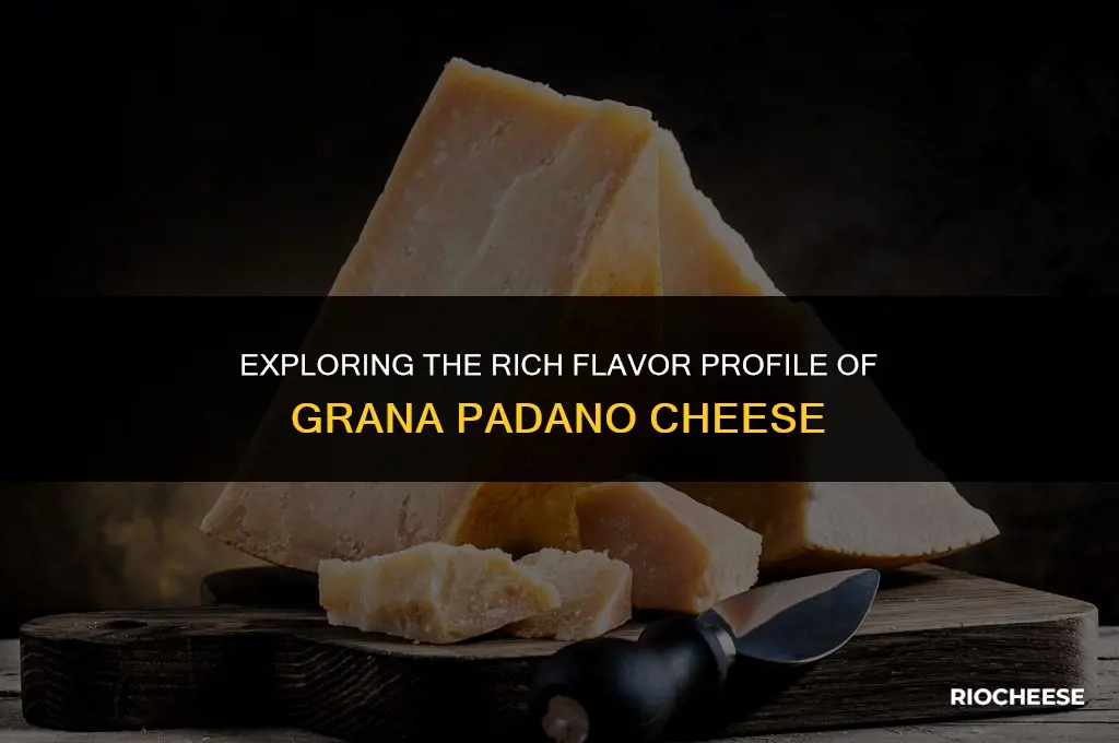 what kind of cheese is grana padano