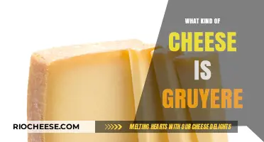 Exploring the Richness of Gruyère: A Cheese Lover's Delight