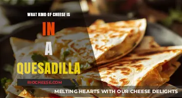 Exploring the Cheesy Delights of Quesadillas: A Flavorful Journey