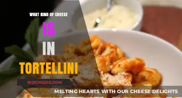 Exploring the Cheesy Delights Inside Tortellini: A Culinary Journey