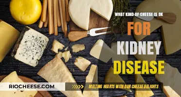 Renal-Friendly Dairy: Cheese Options for Kidney Disease Patients