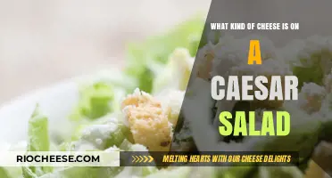 Exploring the Perfect Cheese for Your Caesar Salad
