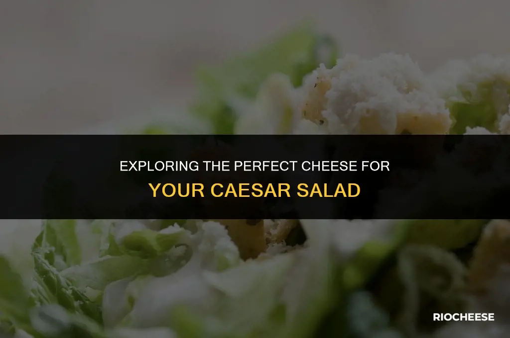 what kind of cheese is on a caesar salad
