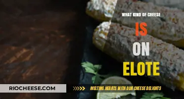Exploring the Cheesy Delights of Elote: A Flavorful Journey