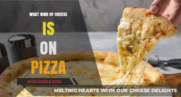 The Ultimate Guide to Pizza Cheese: Beyond Mozzarella