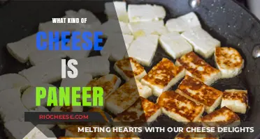 Exploring Paneer: The Versatile Cheese of South Asian Cuisine