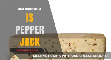Exploring the Spicy World of Pepper Jack Cheese