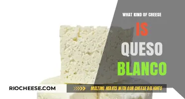 Exploring the Richness of Queso Blanco: A Cheese Lover's Guide