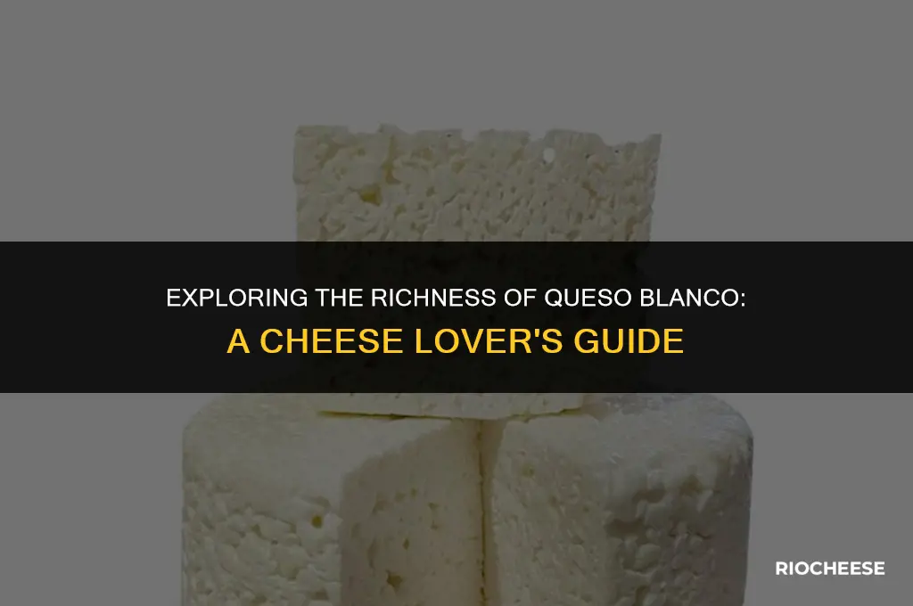 what kind of cheese is queso blanco