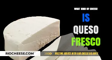 Exploring the Richness of Queso Fresco: A Cheese Lover's Guide