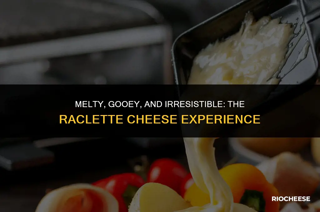 what kind of cheese is raclette