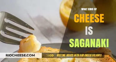 Exploring Saganaki: A Journey Through Greek Cheese Delights
