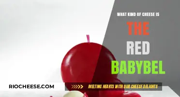 Discovering the Unique Flavor of Red Babybel Cheese