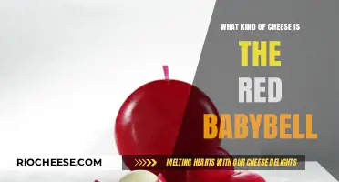 Discovering the Rich Flavor of Red Babybel Cheese