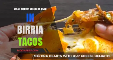 Exploring the Cheesy Delights of Birria Tacos: A Culinary Journey