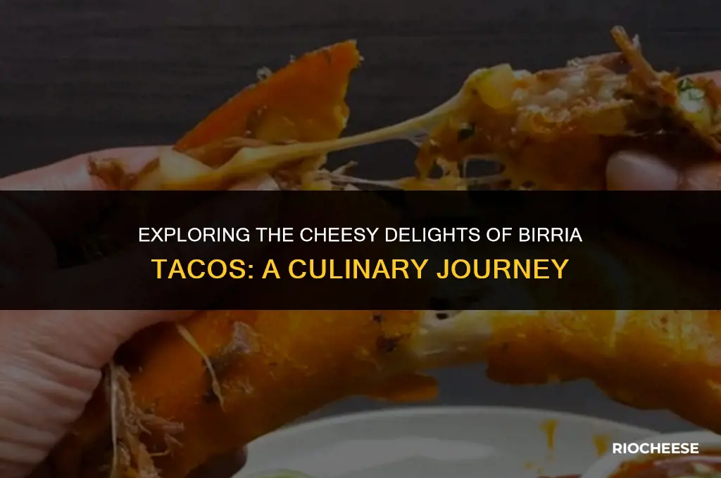 what kind of cheese is used in birria tacos