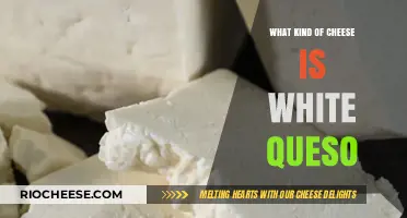Exploring the Creamy World of White Queso: A Cheese Lover's Guide