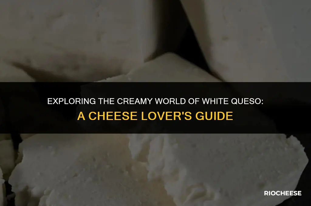 what kind of cheese is white queso