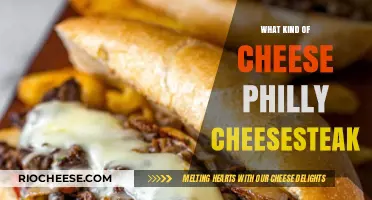 Exploring the Perfect Cheese for Your Philly Cheesesteak