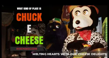 Unveiling the Magic: What Kind of Place is Chuck E. Cheese?