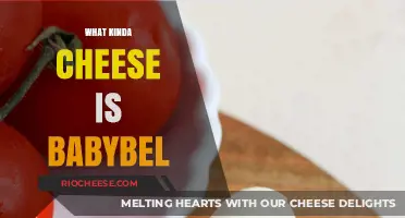 Exploring the Rich Flavor Profile of Babybel Cheese