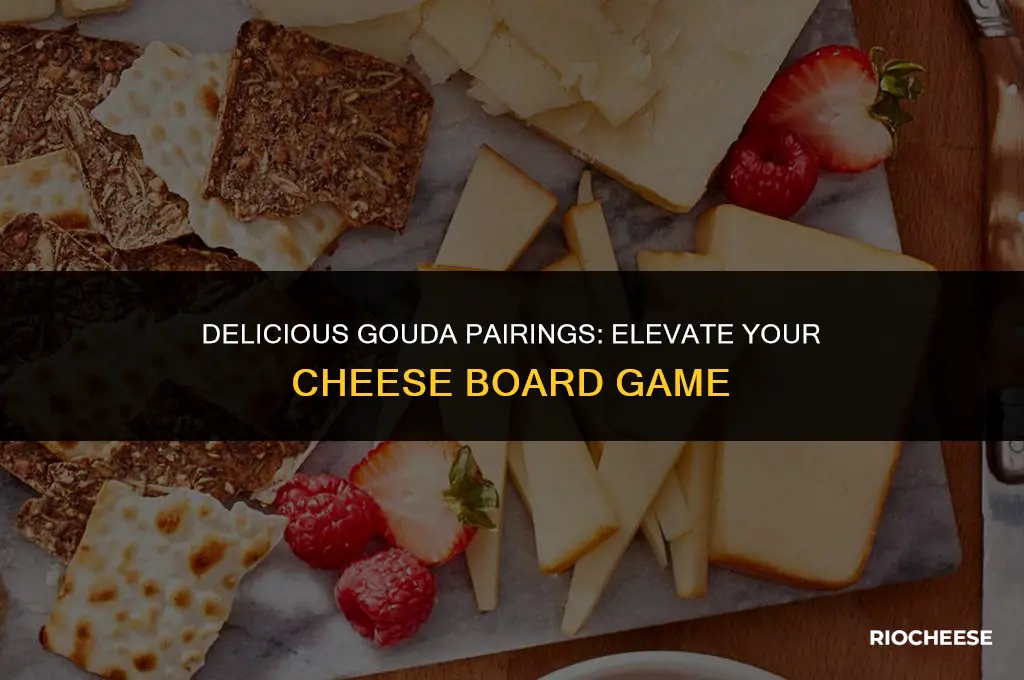 what pairs well with gouda cheese