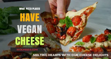Discovering Vegan Cheese Options at Your Favorite Pizza Spots