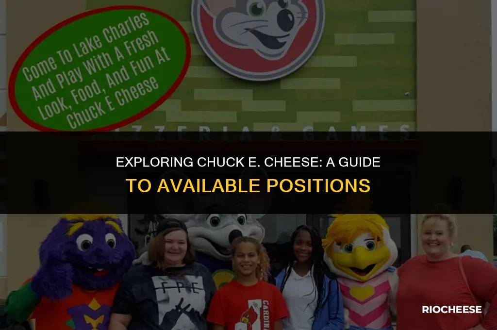 what positions do chuck e cheese have