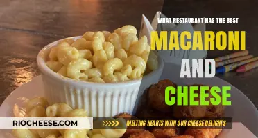 Discovering the Ultimate Comfort Food: A Quest for the Best Macaroni and Cheese