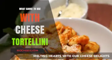 Elevate Your Cheese Tortellini: A Guide to Perfect Sauces