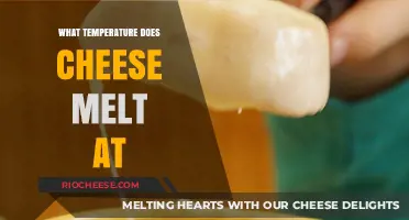 The Perfect Melt: Understanding Cheese's Melting Point