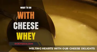 From Byproduct to Delight: Creative Uses for Cheese Whey