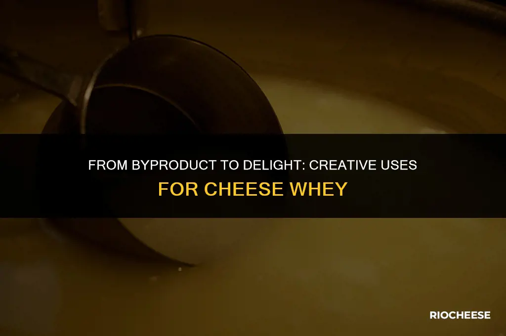 what to do with cheese whey