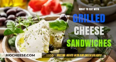 Delicious Pairings: Elevate Your Grilled Cheese Experience